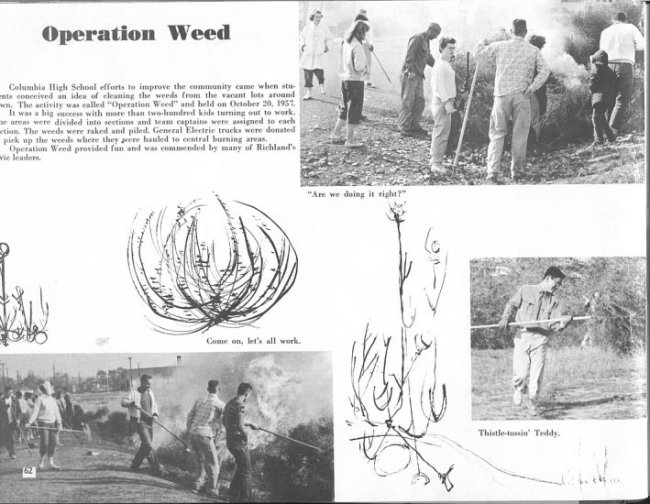Operation Weed