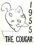 55 cougar